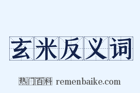 玄米反义词是什么意思的图片